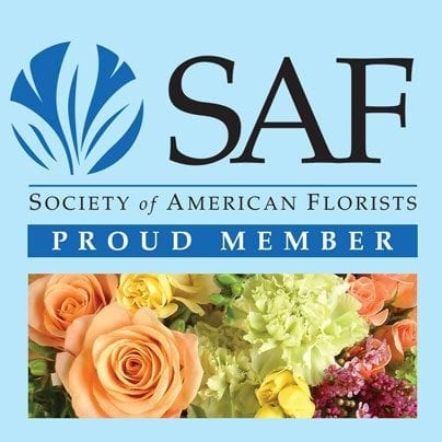 SAF_member