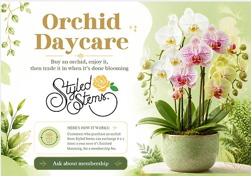 Orchid Daycare