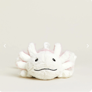 Axolotl