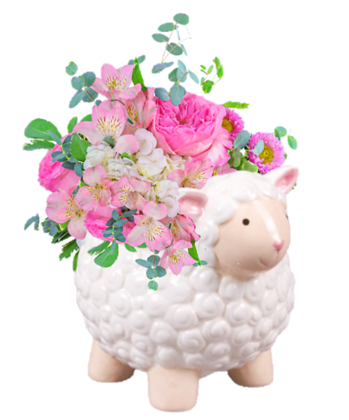 Bow Peep - for boy or girtl