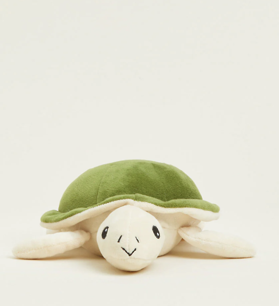 Turtle Jr.