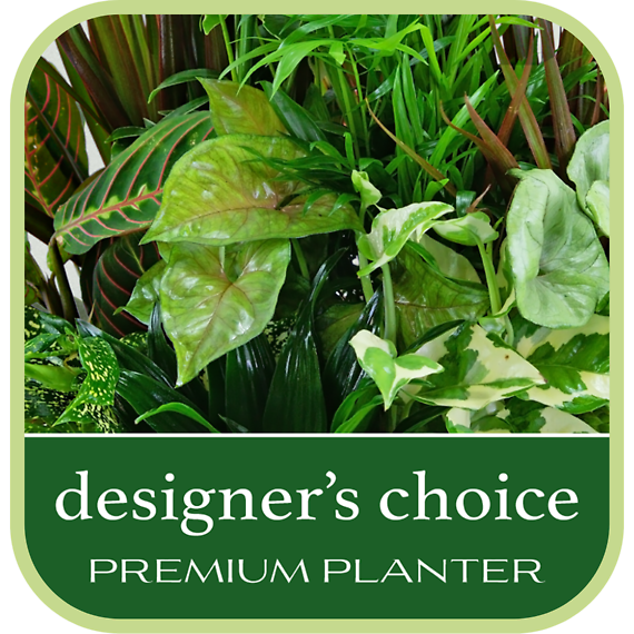 Designer\'s Choice Premium Planter