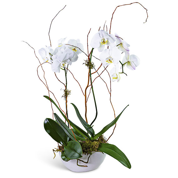 Luxe Double Orchid