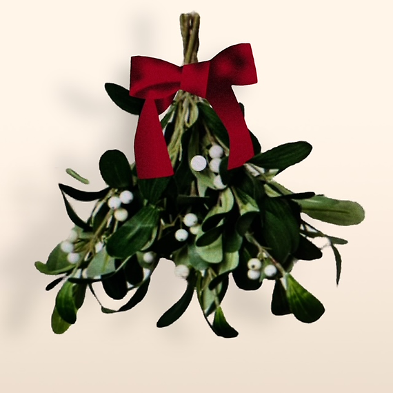 Mistletoe