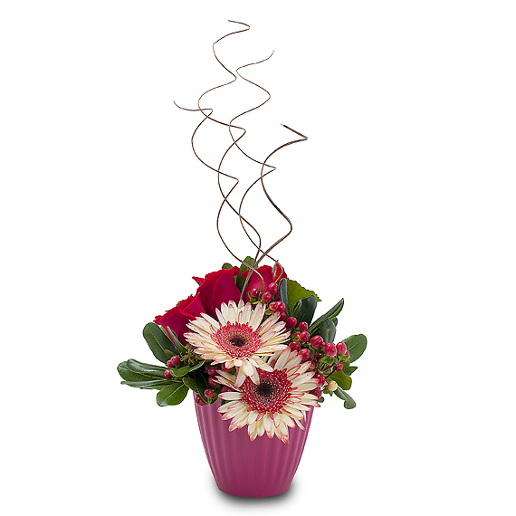 Rosy Surprise
