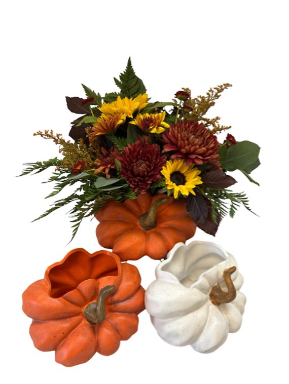 Pumpkin Mania