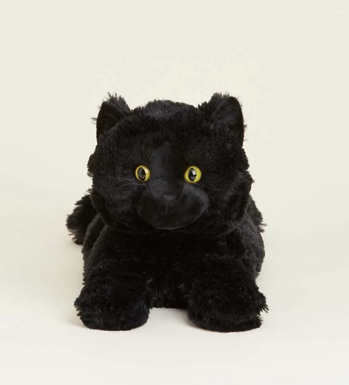 Black Cat