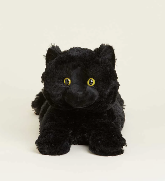 Black Cat