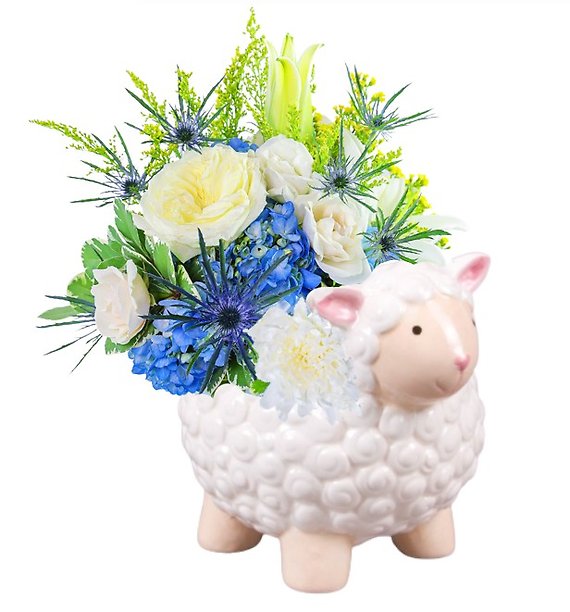 Bow Peep - for boy or girtl