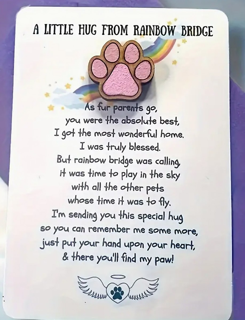Rainbow Bridge Pin