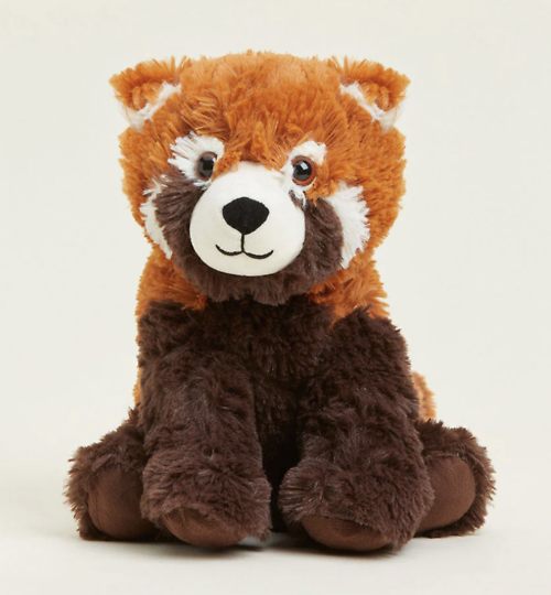 Red Panda