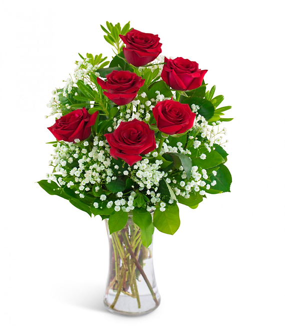 Six Roses and a Million Stars