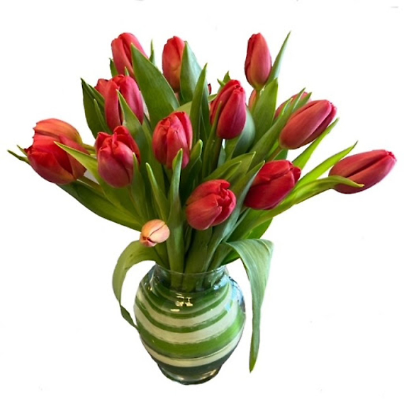 Tulips a Plenty - SALE
