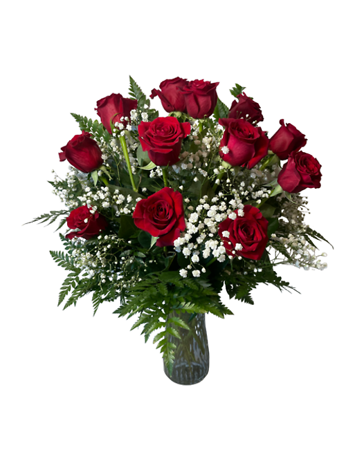 Elegance and Grace Roses