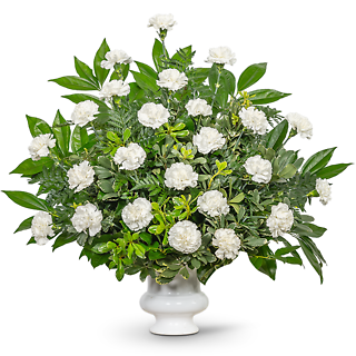 Wings of Peace Urn