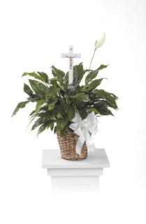Peace Lily with Cross