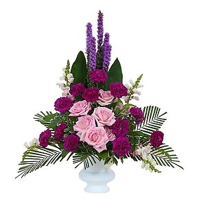 CATEGORY: Vased Arrangements and Plants