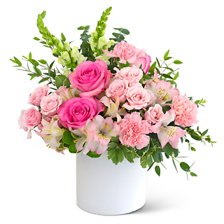 Pink Rose Garden