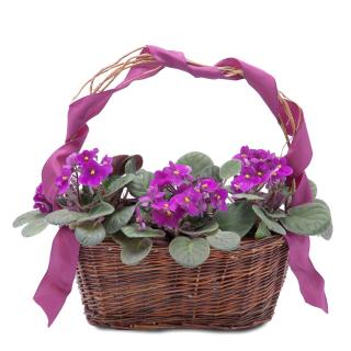 Very Violet Basket