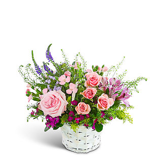 Petal Prelude