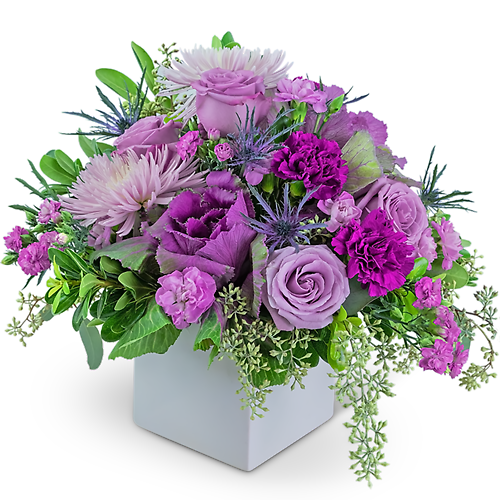 Contemporary Cleopatra