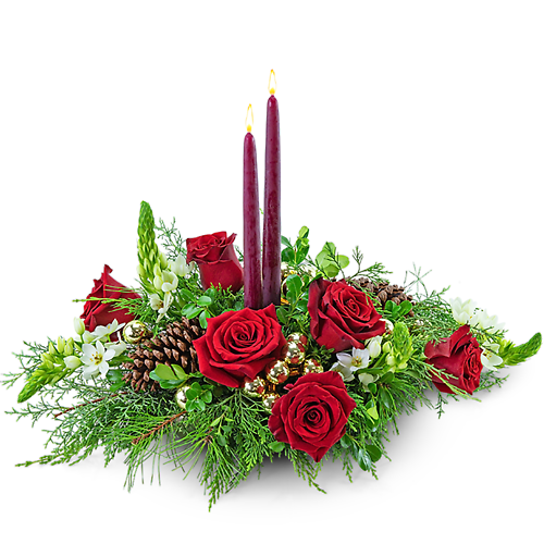 Wonder and Awe Tonight