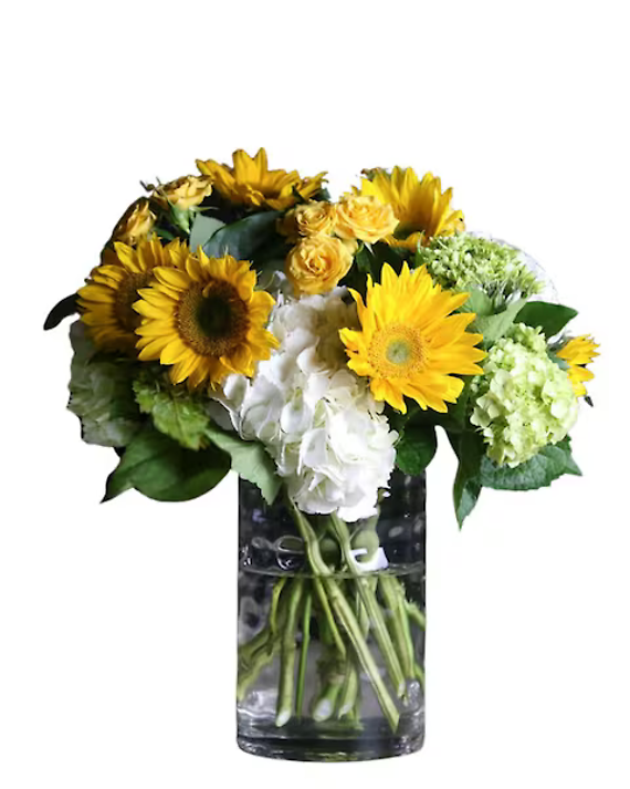 Sunshine, Sunflowers and More