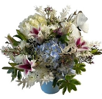 Happy Hydrangeas