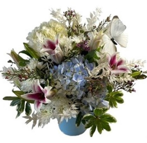 Happy Hydrangeas