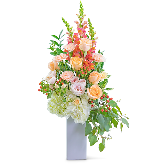 Sorbet Garden