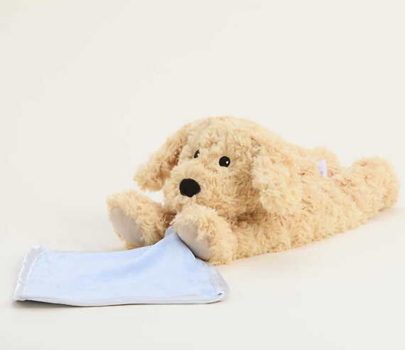 Golden Dog Blankie