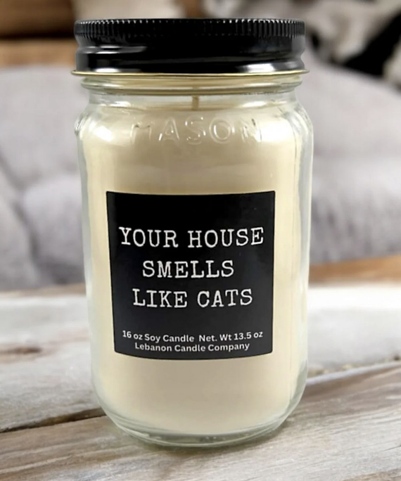 Your House Smells Like Cats