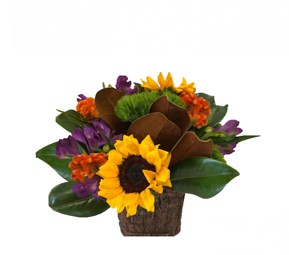 Fall Fiesta