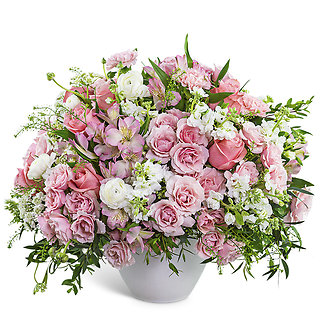 Provence Rose Garden