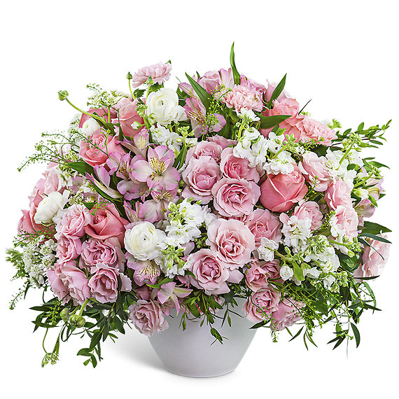 Provence Rose Garden
